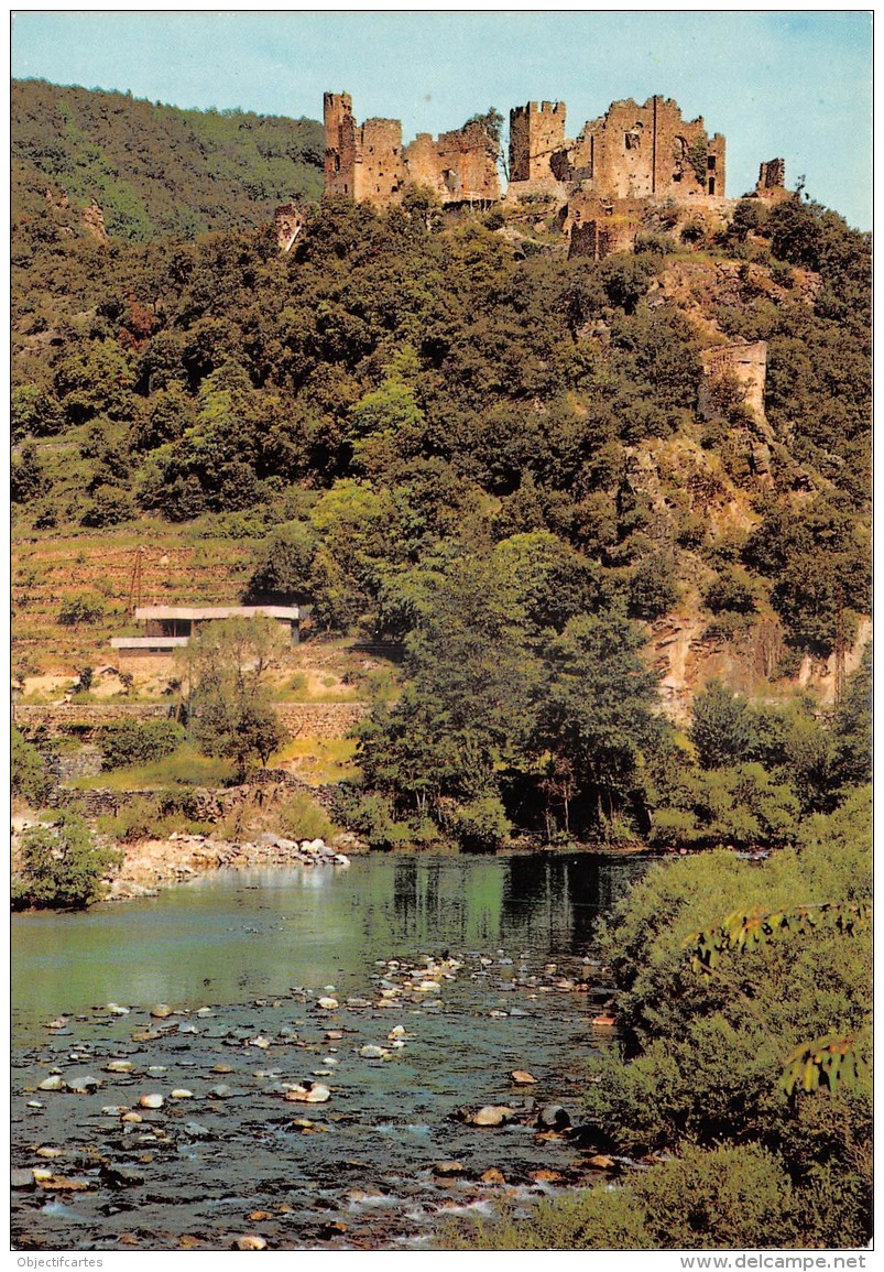 couleur vert (5).jpg